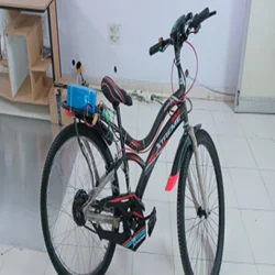 Electric Bicycle