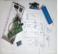 Long-Range Portable Wireless Audio Device